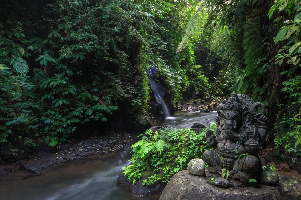 Hotel Bali Jungle Huts Tegallalang  Exterior foto