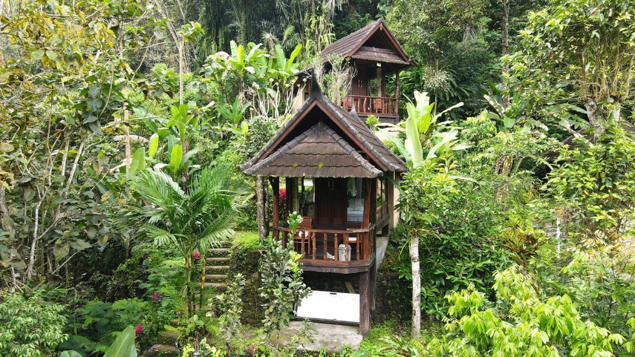 Hotel Bali Jungle Huts Tegallalang  Exterior foto