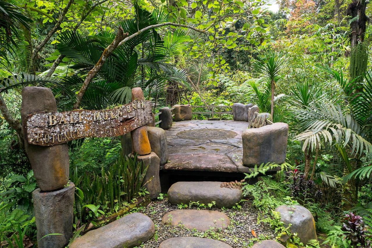Hotel Bali Jungle Huts Tegallalang  Exterior foto