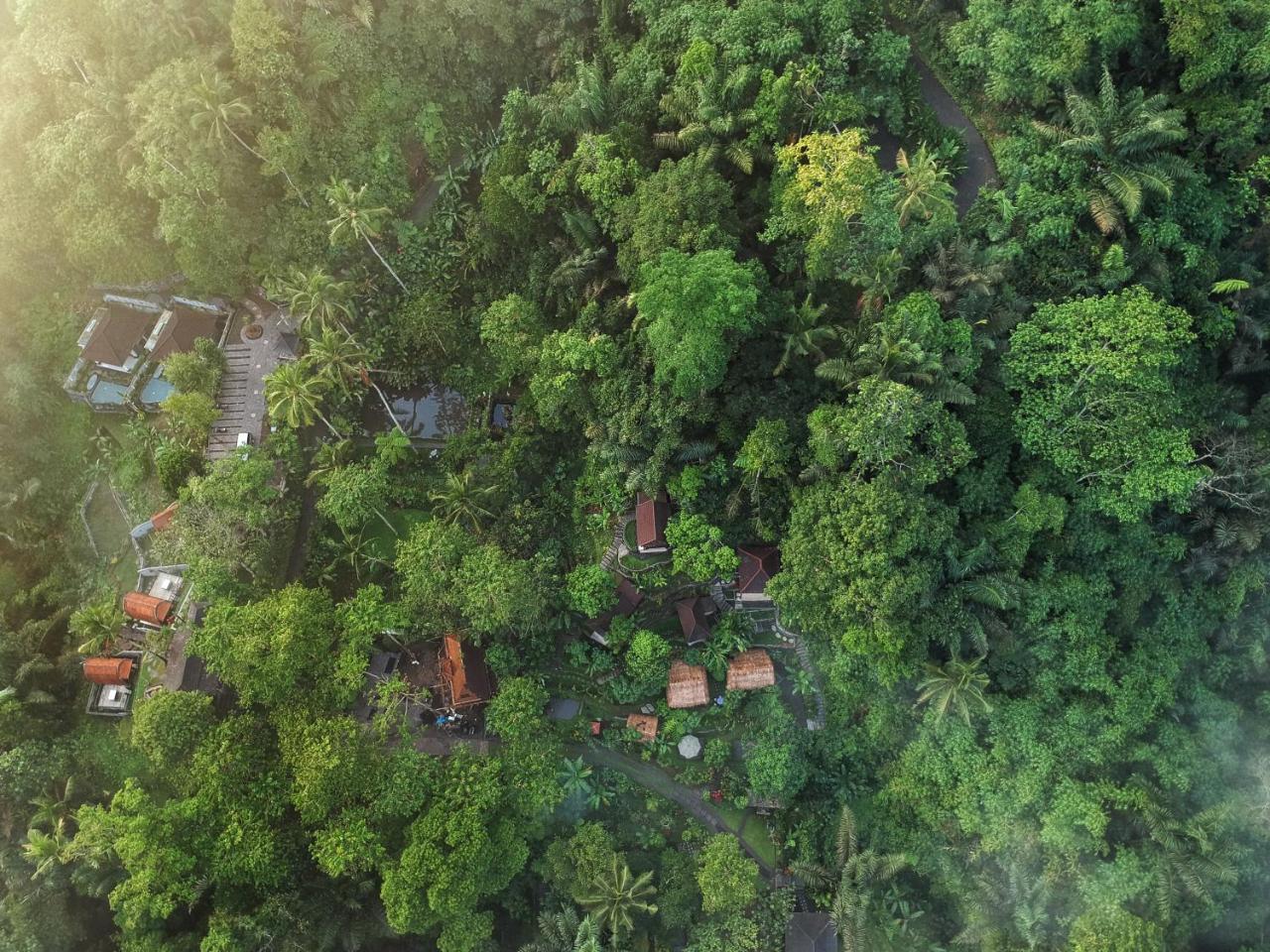 Hotel Bali Jungle Huts Tegallalang  Exterior foto
